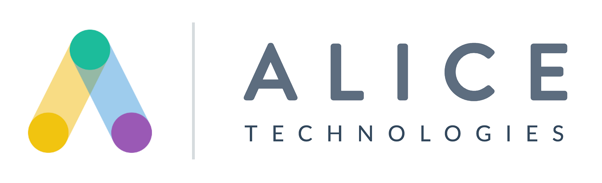 Read more about the article Case Study: Alice Technologies